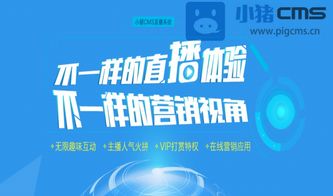 电商直播带货系统源码的核心功能有哪些