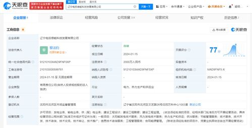 国家电投在辽宁成立绿能科技公司