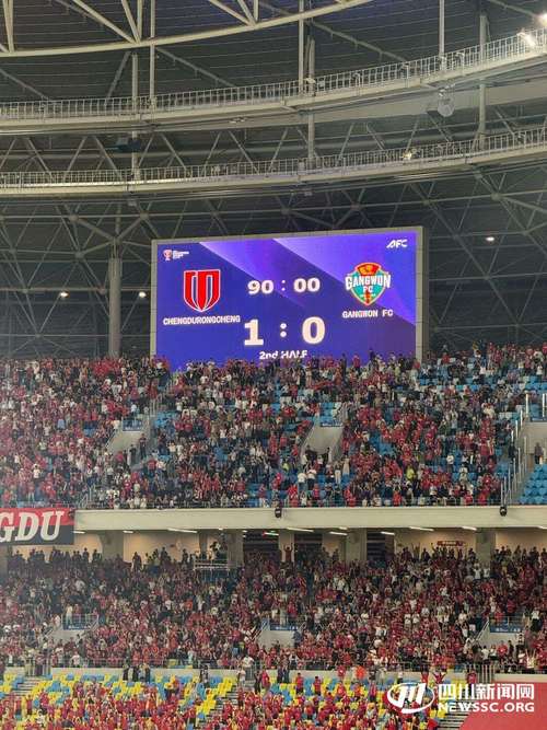 成都蓉城0：0战平首尔 收获亚冠首个客场积分